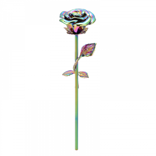 Rose Keepsake - Iridescent
