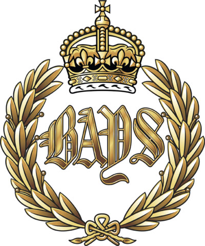 BAYS Crest